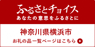 ふるさとチョイス